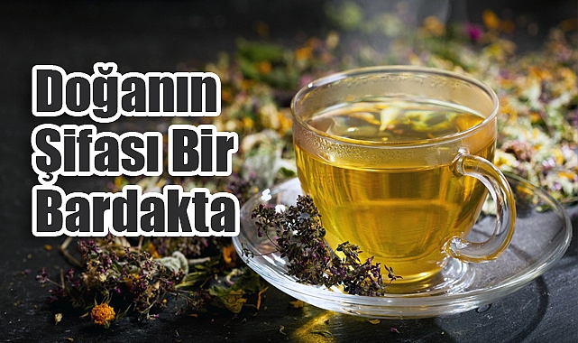 Bitki Çaylarıyla Sağlığınızı Destekleyin: Uykudan Sindirime, Kalpten Bağışıklığa