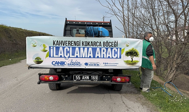 Canik’te Kokarca Böceğiyle Mücadeleye Tam Not