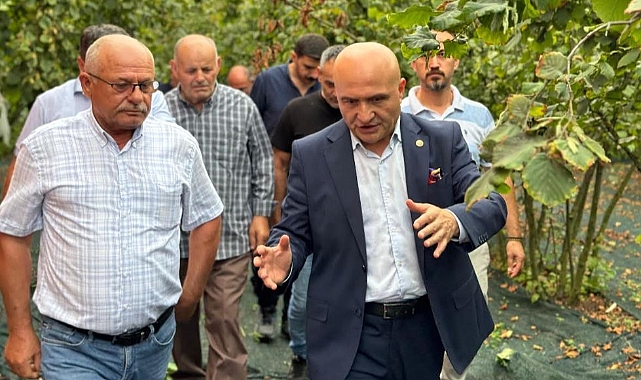 Erhan Usta’dan TMO’nun Fındık Satışına Sert Eleştiri: 'Üretici Kuyrukta, Büyük Tüccar Kazanıyor!'