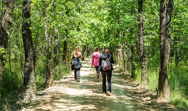 Fethiye’de Wellness Weekend ile Doğayla Yenilenme Deneyimi