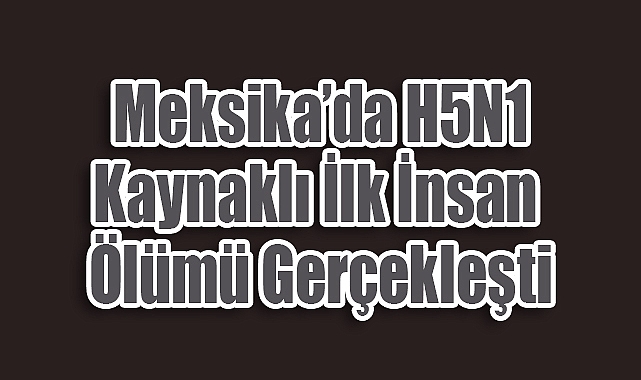 Meksika'da H5N1 Kaynaklı İlk İnsan Ölümü Gerçekleşti