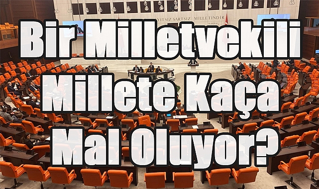 Bir Milletvekili Millete Kaça Mal Oluyor?
