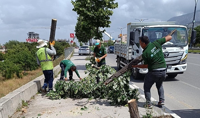 Fırtınanın Zarar Verdiği Ağaçlar Kaldırıldı