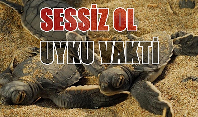 Kaplumbağalar İçin Sessizlik Vakti