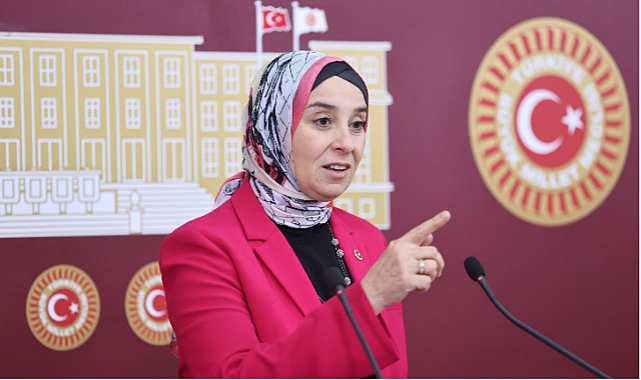 DEVA Partisi’nden Meclis’te Sert İklim Yasası Eleştirisi