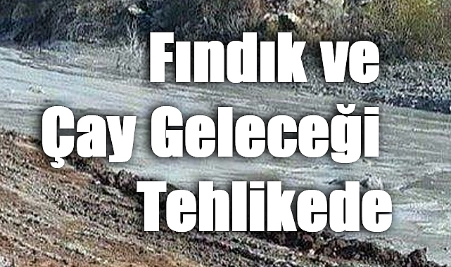 Harşit’in Çığlığı: Giresun’da Doğa ve Tarih Alarm Veriyor