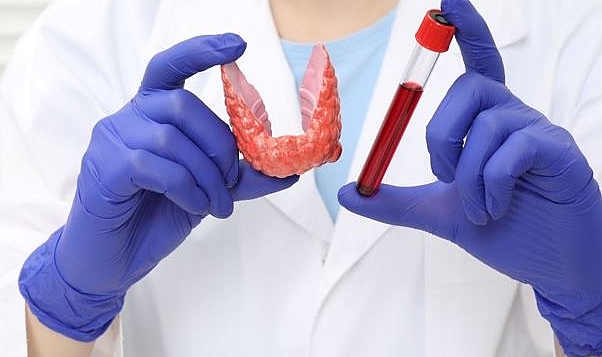 Hormonal Dengenin Anahtarı: Uzman Endokrinoloji Takibi