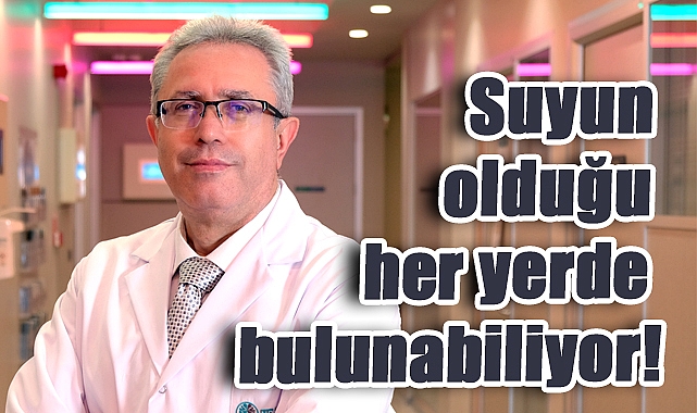 Lejyoner Hastalığı Yaz Aylarında Tehdit Ediyor: Klimalara ve Su Sistemlerine Dikkat!