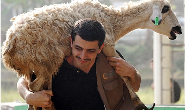 2025 Kurban Faaliyeti Endonezya'da Tamamlandı