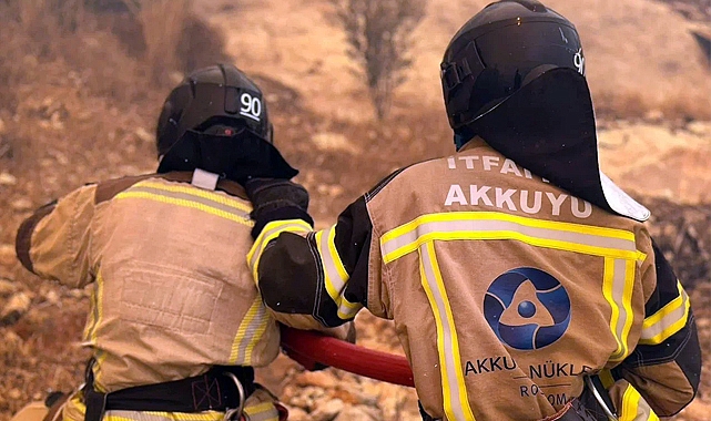 Akkuyu NGS İtfaiye Ekibinden, Mersin’deki Orman Yangınına Hızlı Müdahale