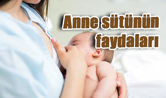 Anne Sütü: Bebeğinizin İlk ve En Değerli Bağışıklık Kaynağı