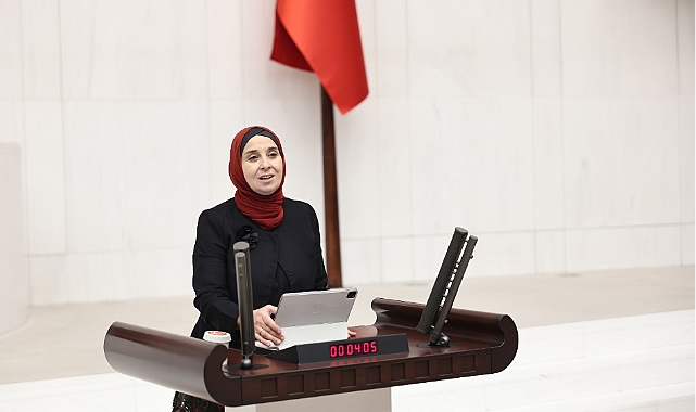 DEVA Partili Elif Esen, Bütçe neden kullanılmadı?'