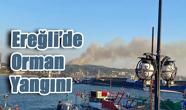 Karadeniz Ereğli’de Orman Yangını: Alevler Kısa Sürede Yayıldı