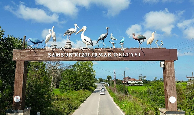 Kızılırmak Deltası Kuş Cenneti, Yaz Mevsiminde de Doğaseverlerin Gözdesi