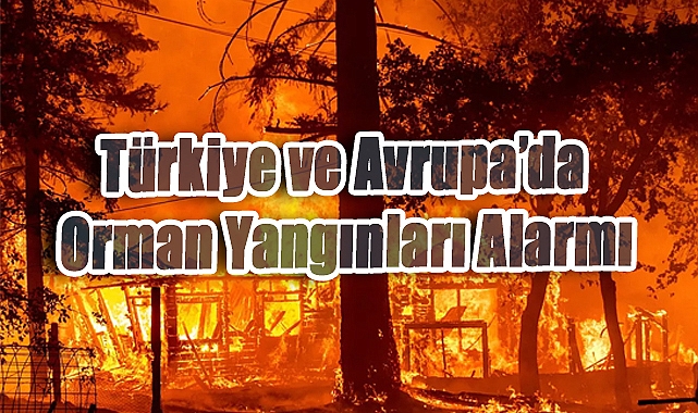 Türkiye ve Avrupa’da Orman Yangınları Alarmı