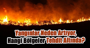Türkiye'yi Sarsan Orman Yangınları ve Sıcak Hava Dalgası: Rekor Sıcaklıklar ve Süren Tehlike!