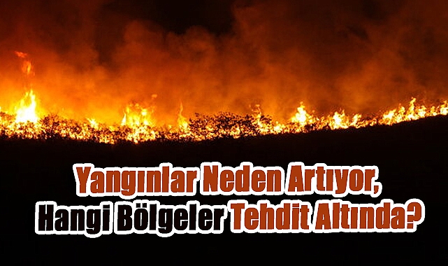 Türkiye'yi Sarsan Orman Yangınları ve Sıcak Hava Dalgası: Rekor Sıcaklıklar ve Süren Tehlike!