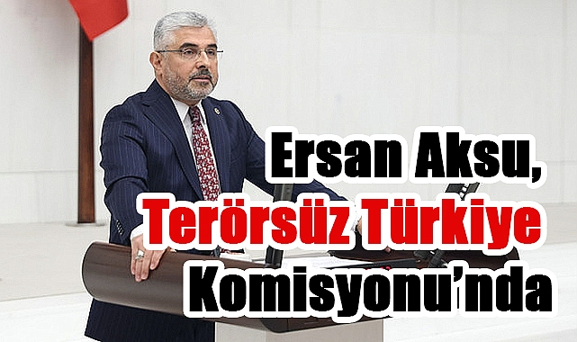 Ersan Aksu, Terörsüz Türkiye Komisyonu’nda