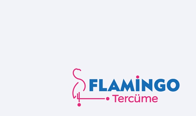 İstanbul Medikal Sözlü Tercüme | Flamingo Tercüme
