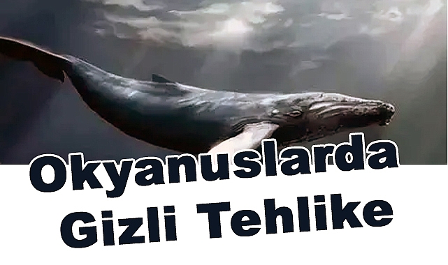 Mavi Balinalar Neden Sessizleşiyor? Okyanuslarda Gizli Tehlike