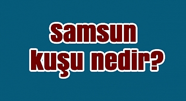 Samsun kuşu nedir?