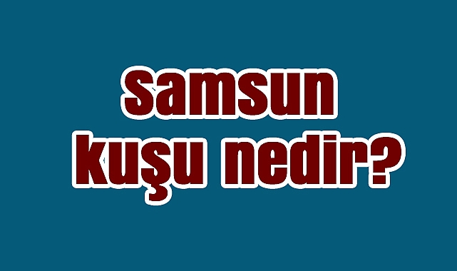 Samsun kuşu nedir?