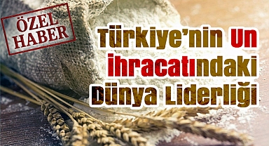 Türkiye'nin Un Sektörüne Detaylı Bakış: Üretim, İhracat ve Fabrikalar