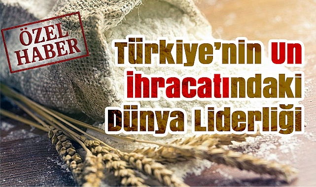 Türkiye'nin Un Sektörüne Detaylı Bakış: Üretim, İhracat ve Fabrikalar