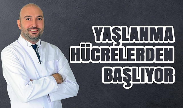 Yaşlanma Hücrelerden Başlıyor: Telomerler Sağlıklı ve Uzun Yaşamın Anahtarı