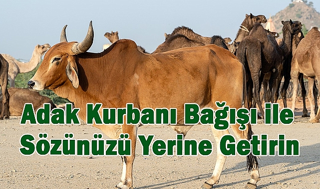 Afrika Kurban Bağışı ile Yardımlaşmanın Bereketi