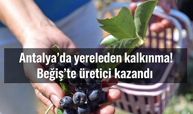 Antalya'da yerelden kalkınma! Beğiş'te üretici kazandı