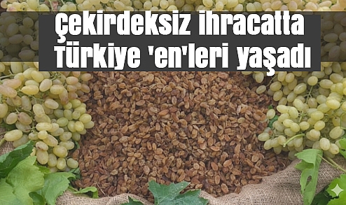 Çekirdeksiz ihracatta Türkiye 'en'leri yaşadı