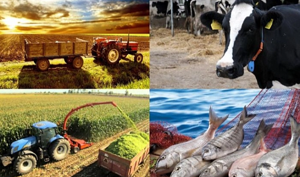 Hayvancılık Desteklerinde Rekor Artış