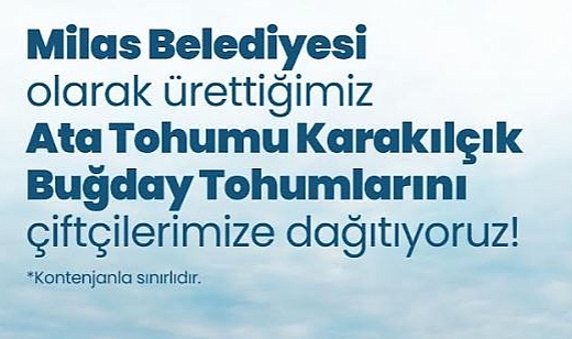 Milas Belediyesi’nden üreticiye ata tohumu desteği