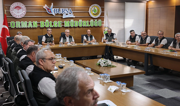 Orman Genel Müdürü Karacabey Bursa'da yangın sahalarını denetledi