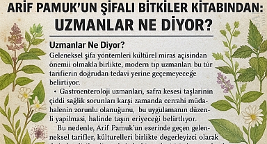 Safra ve Böbrek Taşlarına Doğal Çözümler