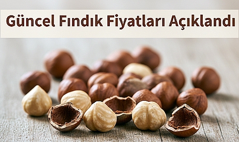 Samsun’da Güncel Fındık Fiyatları Açıklandı