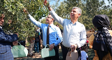 Soma’da Zeytin Hasadı Şenliği Düzenlendi