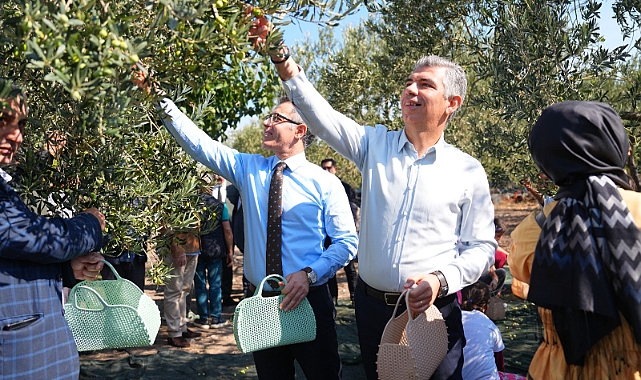 Soma’da Zeytin Hasadı Şenliği Düzenlendi