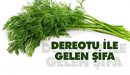 Dereotunun faydaları nelerdir?