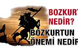 Bozkurt nedir? (Bozkurt'un Tarihte Önemi)