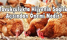 Tavukçulukta Hijyenin Sağlık Açısından Önemi Nedir?
