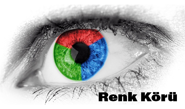 Renk Körü