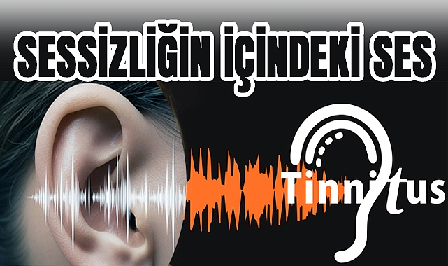 SESSİZLİĞİN İÇİNDEKİ SES