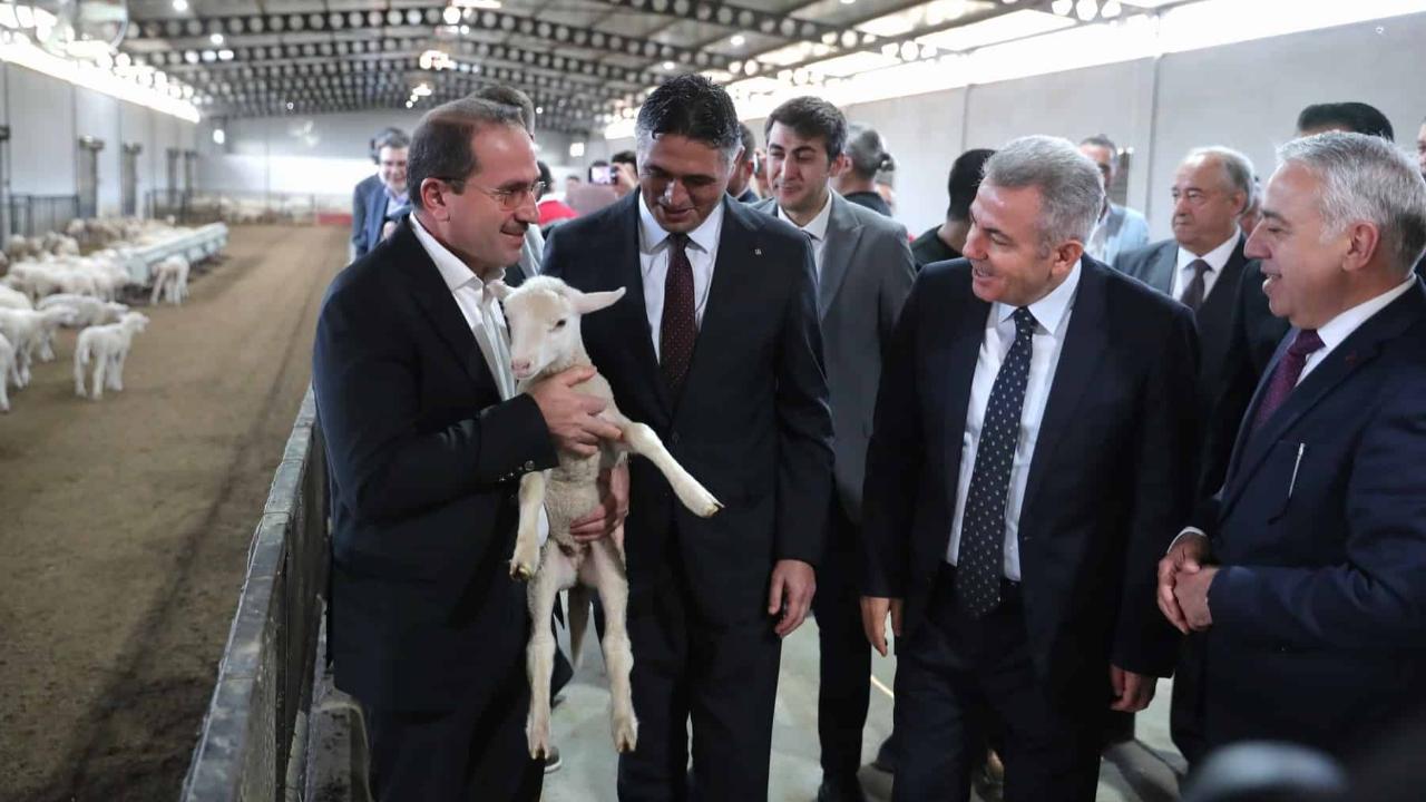 Aliağa Belediyesi’nden Üreticiye Büyük Destek: 110 Üreticiye 210 Küçükbaş Hayvan Teslim Edildi