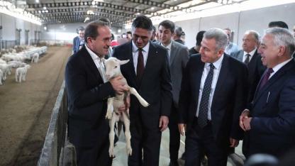 Aliağa Belediyesi’nden Üreticiye Büyük Destek: 110 Üreticiye 210 Küçükbaş Hayvan Teslim Edildi