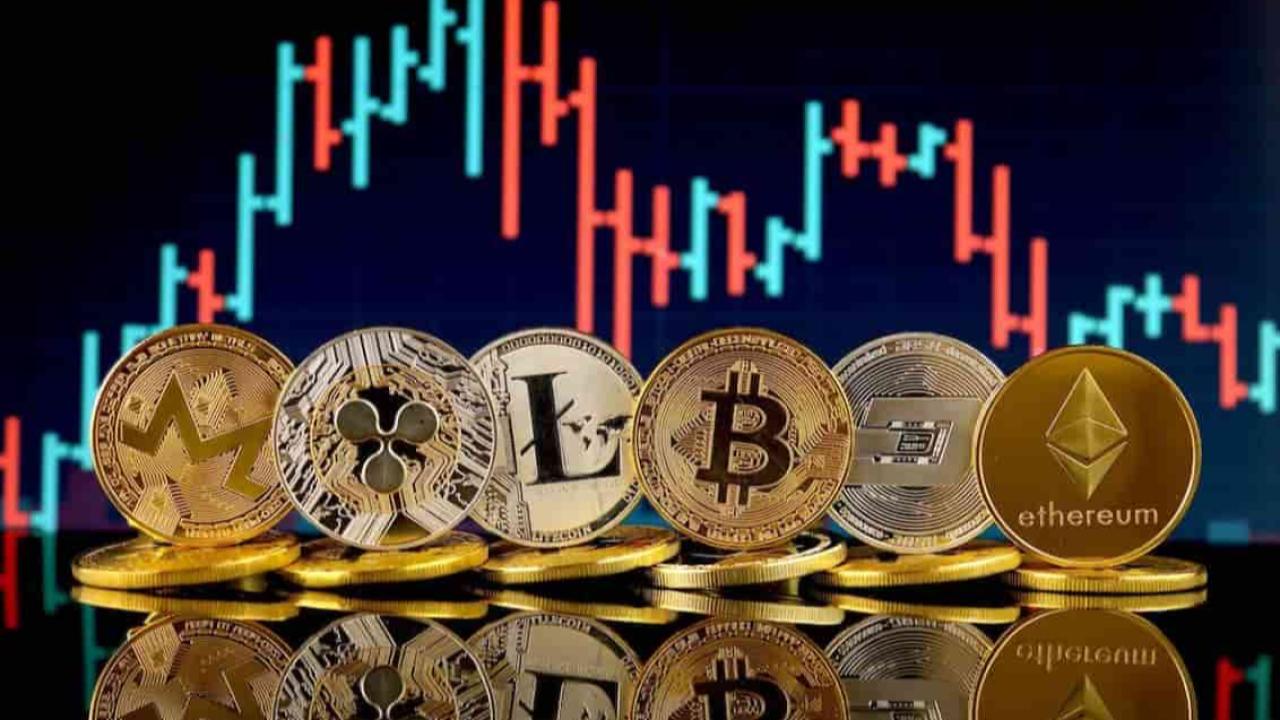 BTC ve Memecoinler Arasındaki Fark