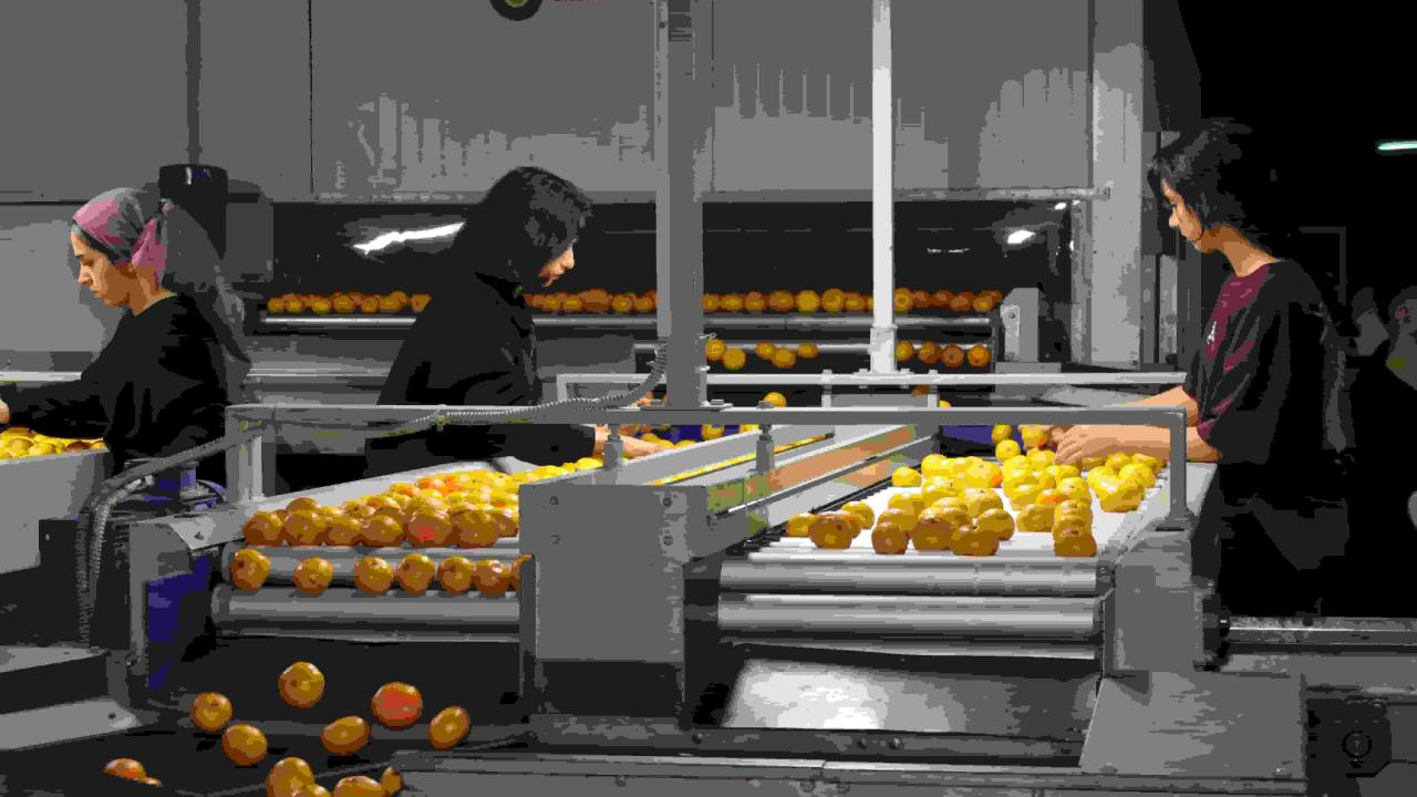 Hayrettin Uçak’tan gençlere mesaj: İşinizi aşkla yapın
