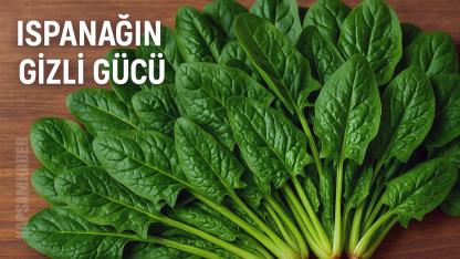 Ispanağın gizli gücü: Vücudu baştan sona koruyan doğal mucize