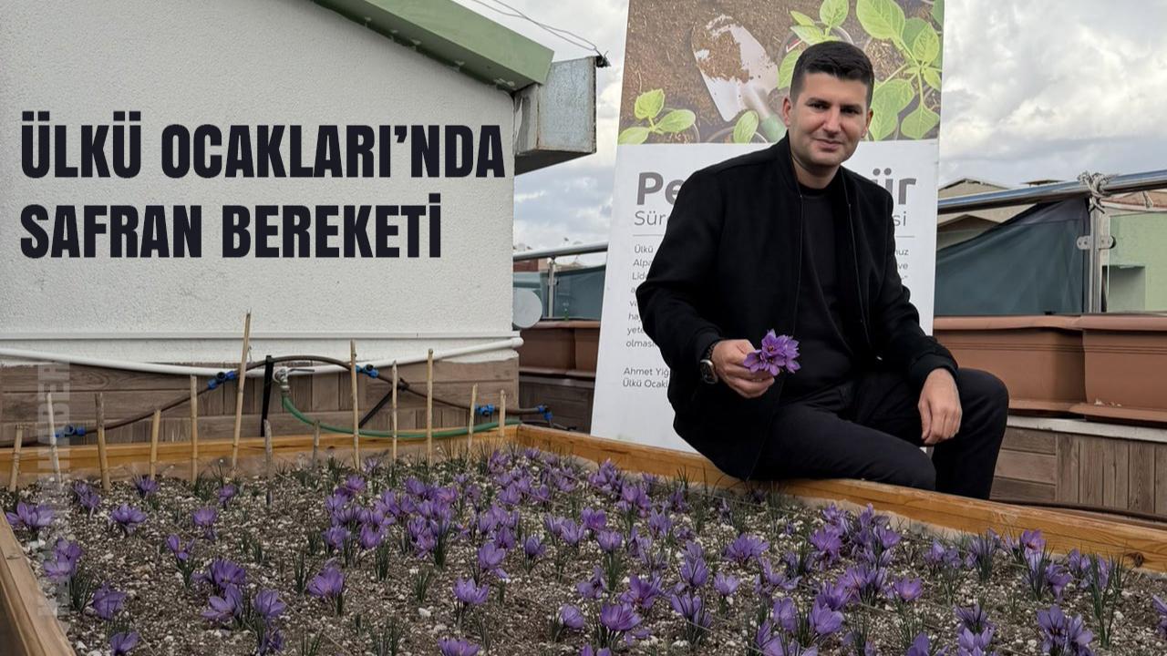 Ülkü Ocakları Genel Merkezi, şehir yaşamına örnek olacak bir projeye imza attı. Doğal gübreleme yöntemleriyle terasta yetiştirilen safran dikkat çekti.